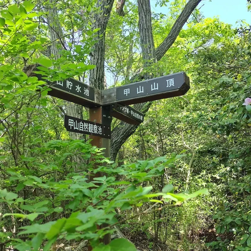 甲山登山