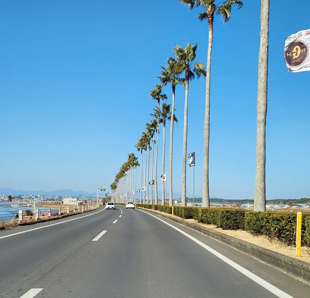 春色ニットで宮崎キャンプへの画像_2