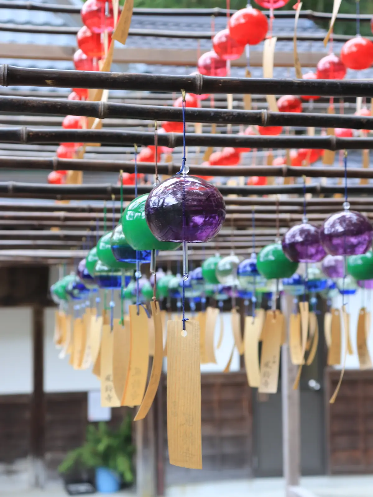 正寿院  風鈴寺　風鈴まつり 　宇治田原　京都