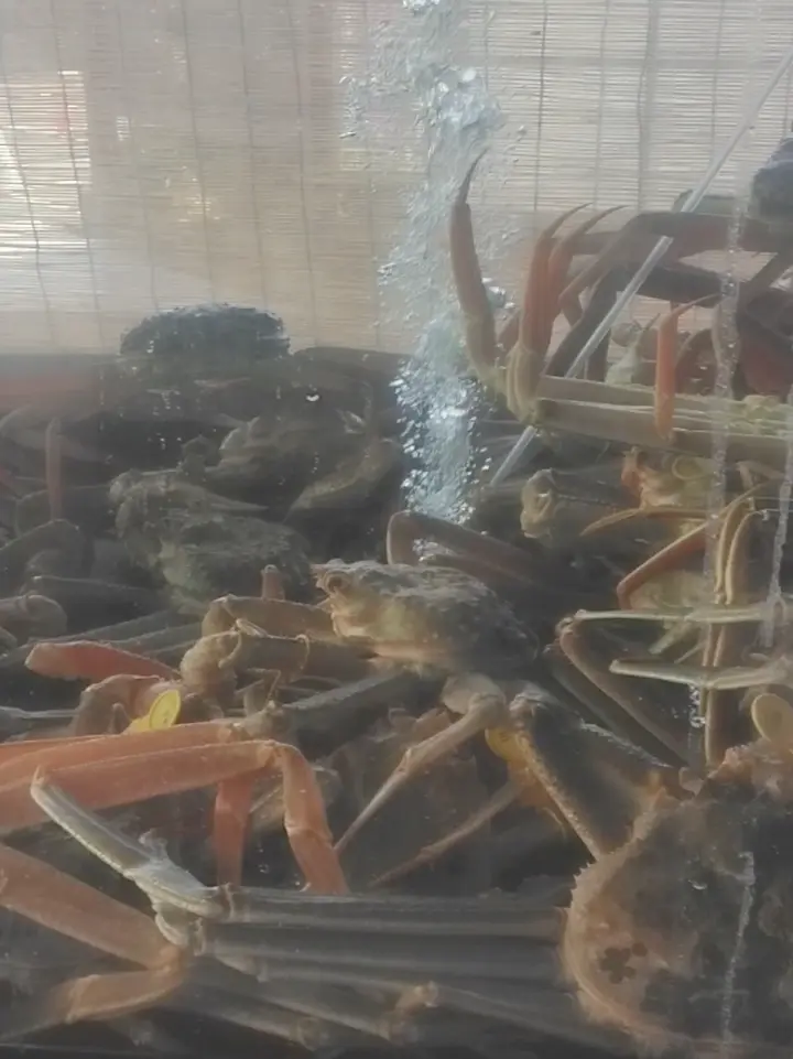 【福井】1泊2日弾丸グルメ旅♡の画像_17