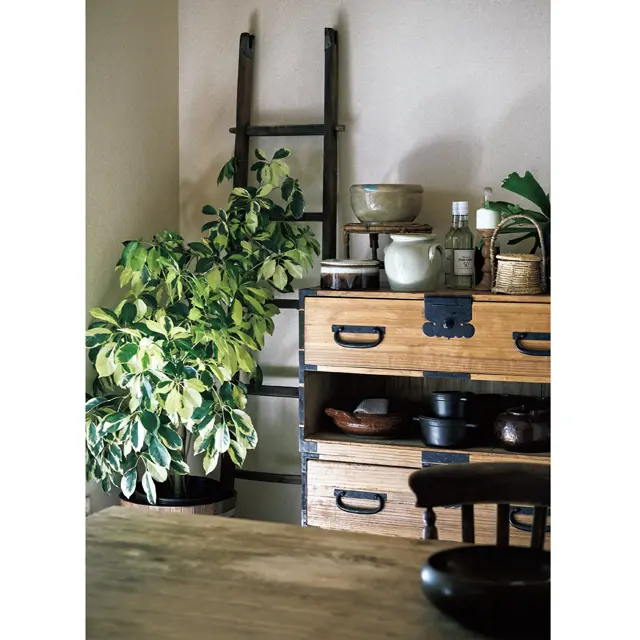 床の間には実家から持ってきた桐箪笥を置き、鍋などの収納として活用