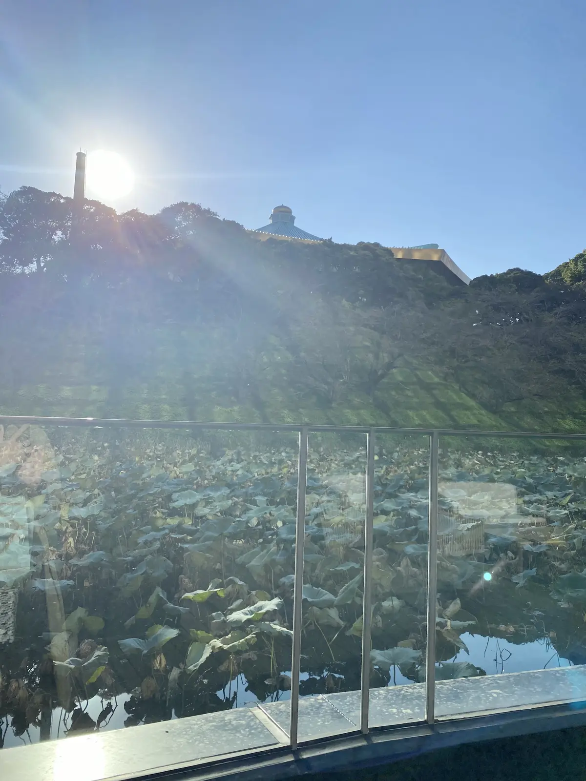 九段食堂 テラスからの眺め