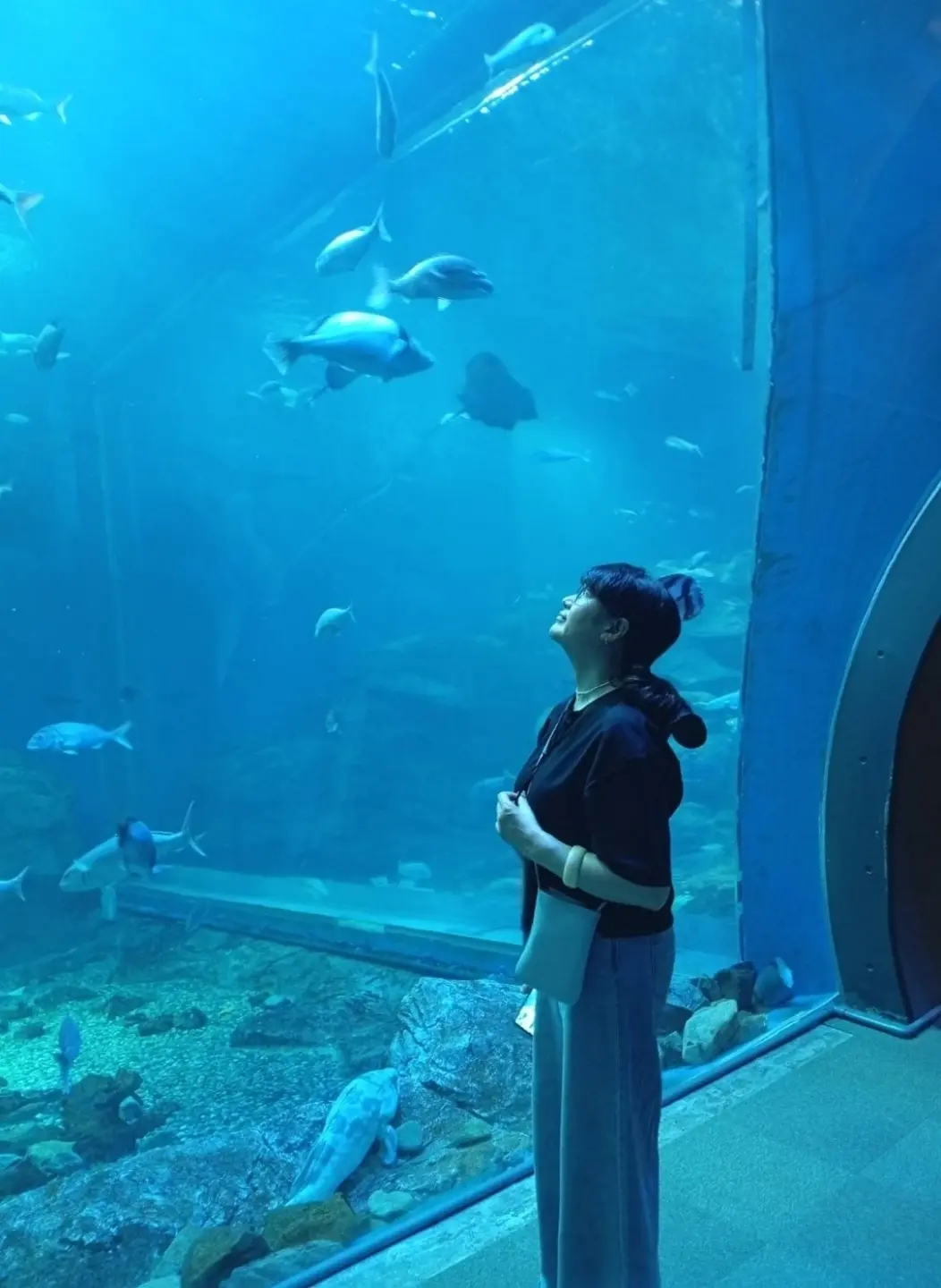 男鹿水族館GAOの大水槽前の私