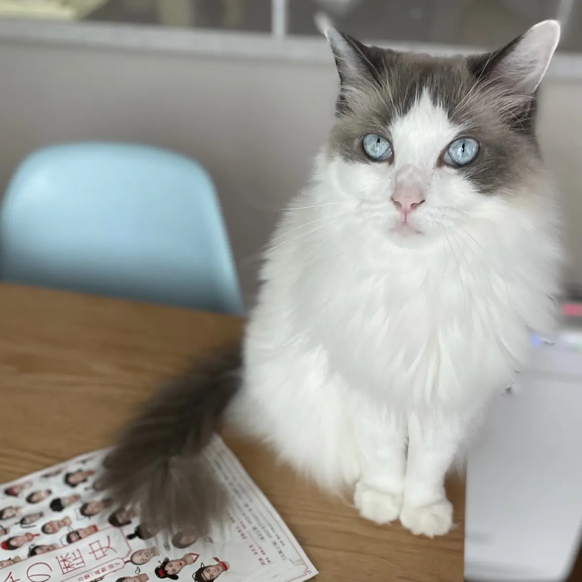 上の子です☺︎