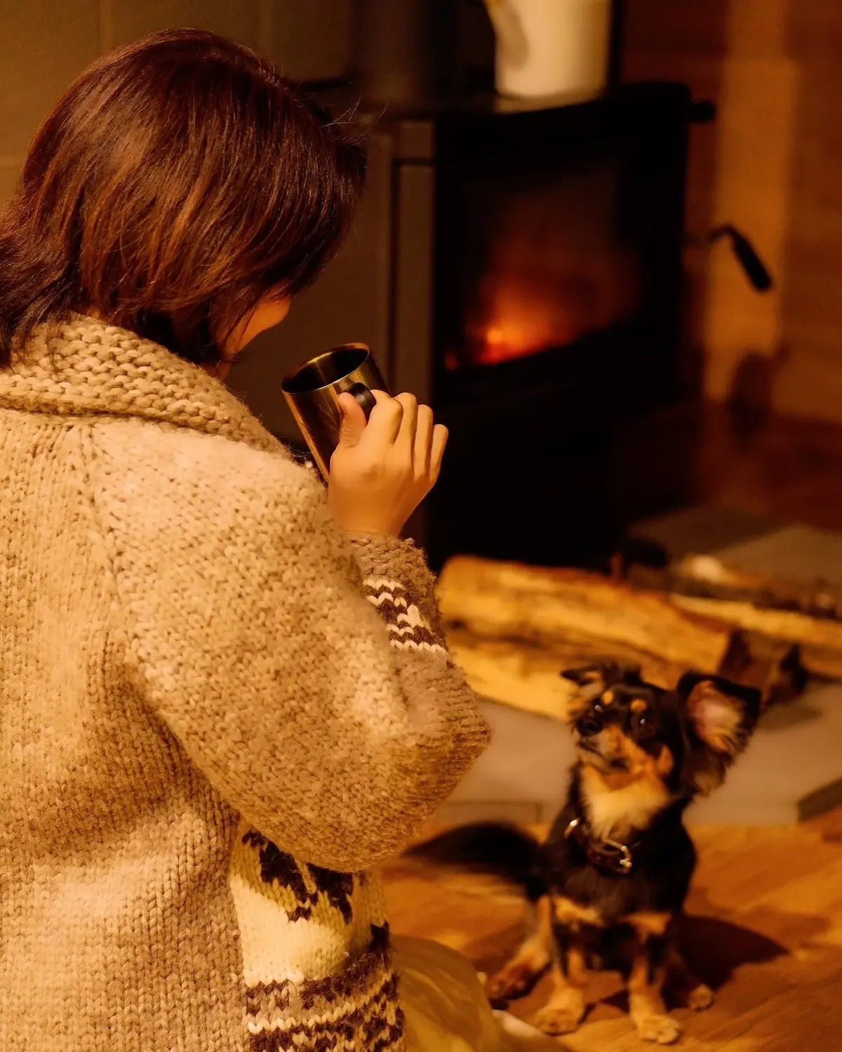 ワンコと泊まれる素敵なコテージ 山中湖の画像_4