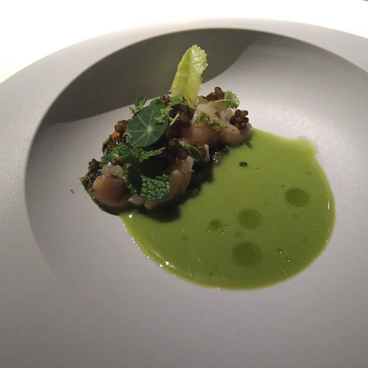 ムニ　アラン・デュカス