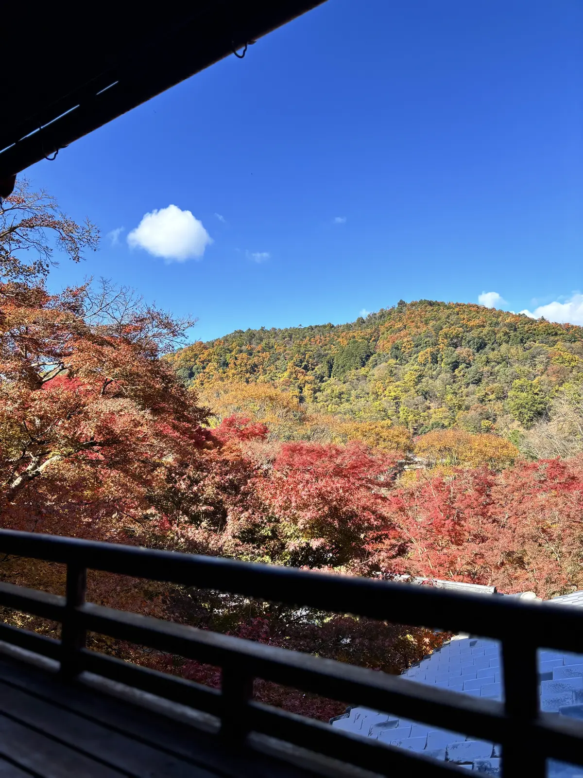 京都　八瀬　瑠璃光院