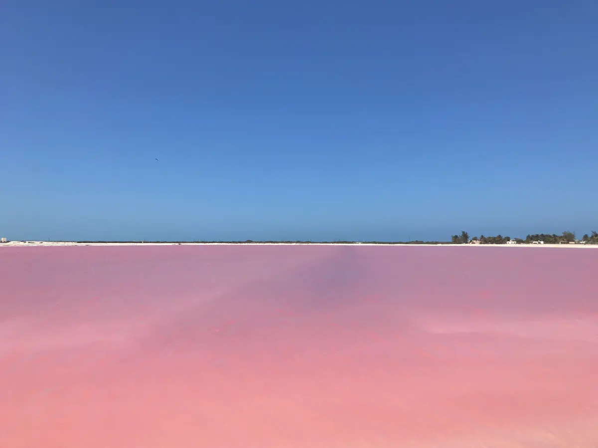 メキシコのピンクレイク①