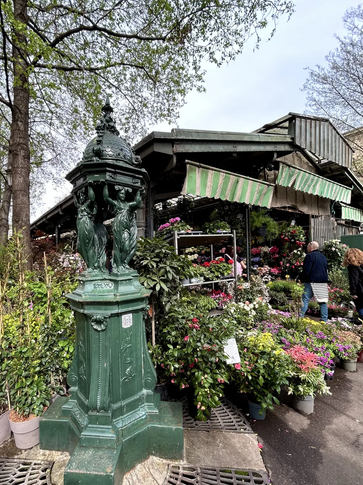 パリ　花市場　Marche aux Fleurs Reine Elizabeth II de Paris マルシェ・オ・フルール・レーヌ・エリザベス2世）