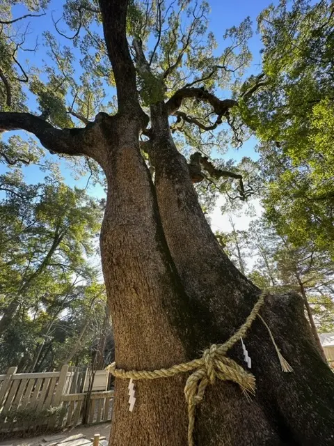 淡路島のパワースポット★日本最古の神社「の画像_3