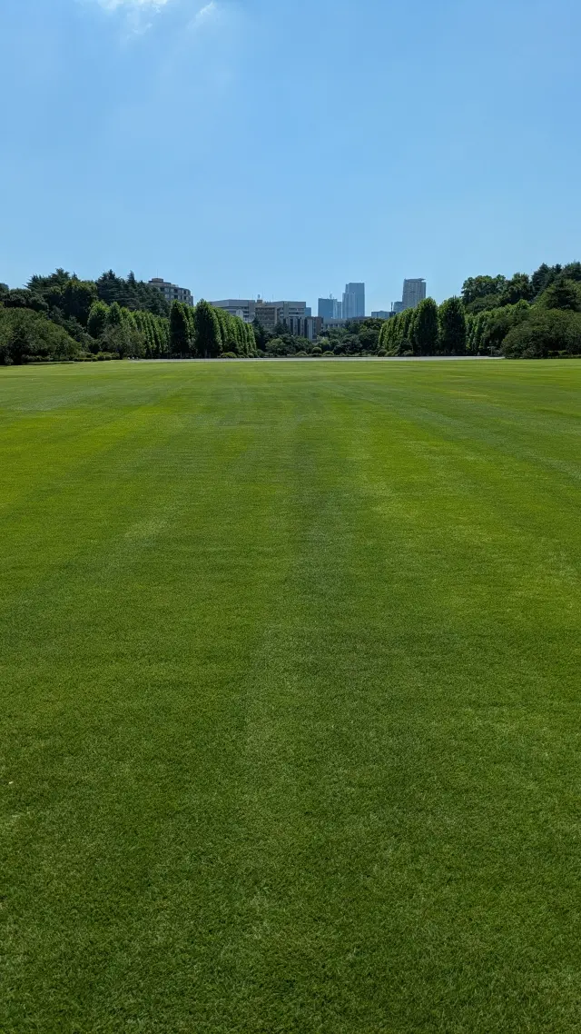 新宿御苑　広い芝生