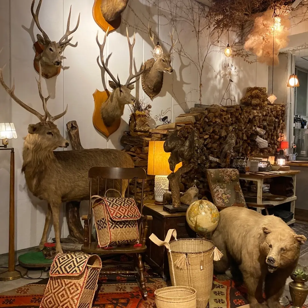 素敵な空間のアウトドアのお店見つけましたの画像_2