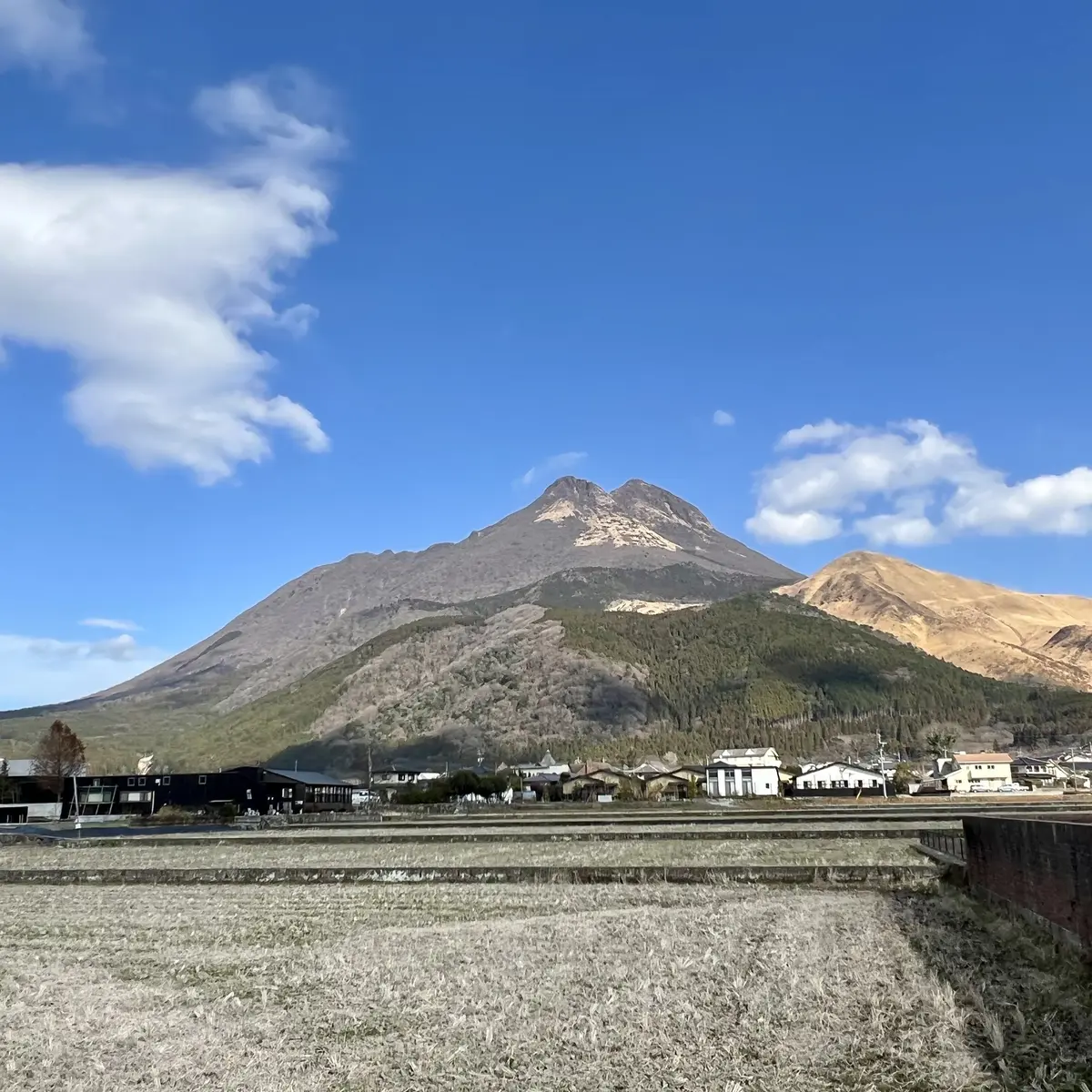 由布院「観光辻馬車」、由布岳