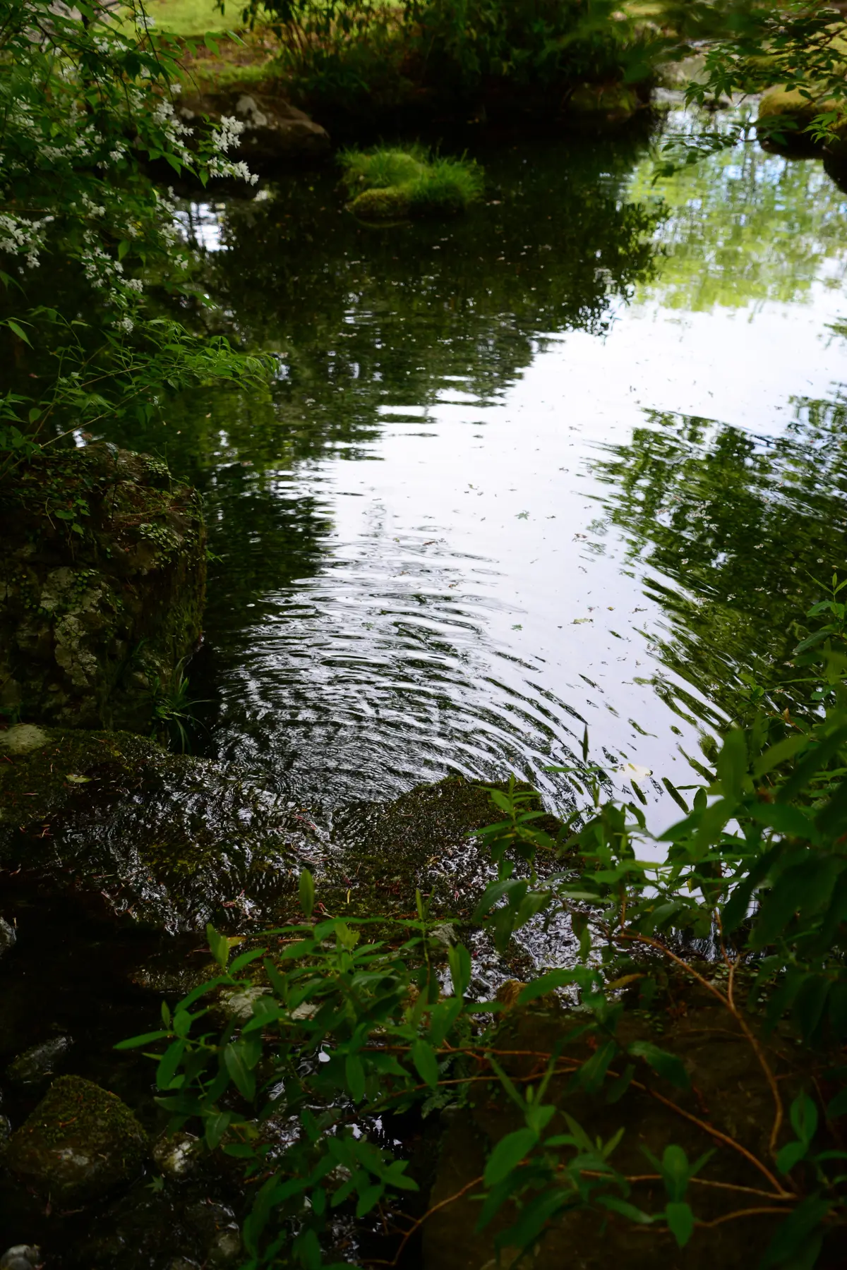 御殿場東山の旧岸邸への画像_14