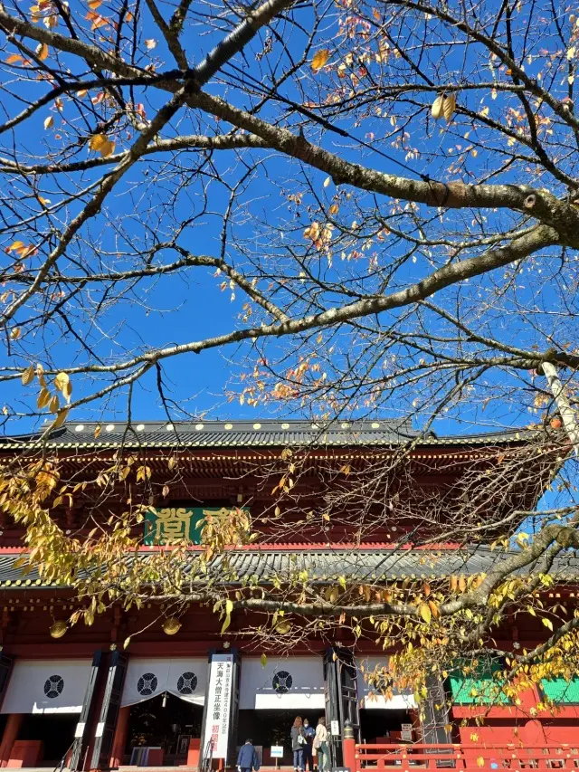 晩秋の日光・宇都宮旅 前編 世界遺産めぐの画像_17