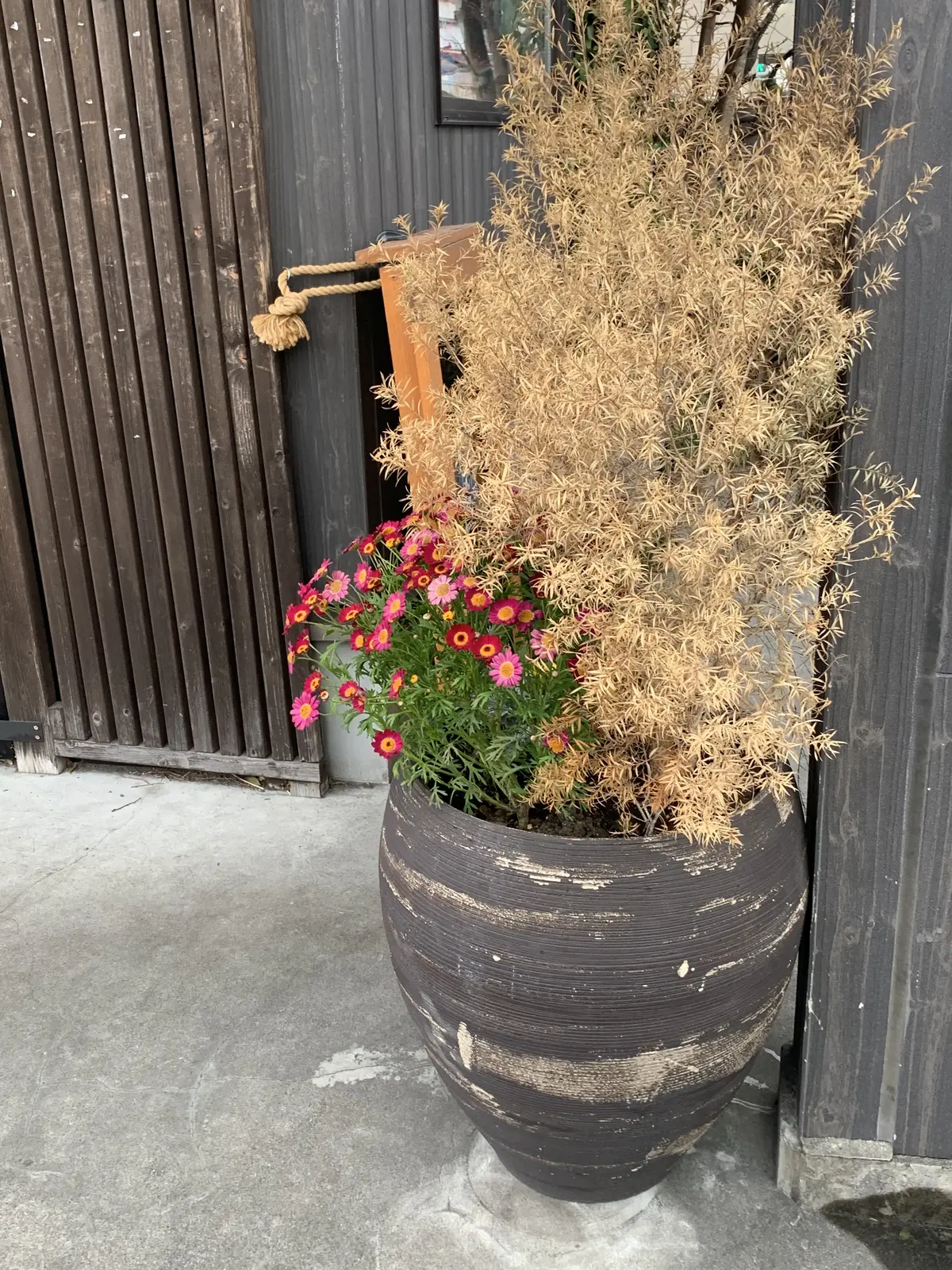 「芦兵衛 」南葉山 芦名ベーカリーへの画像_7