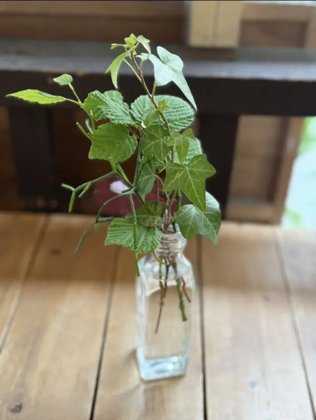 今年の夏はH&Mデニムワンピースで、ハイの画像_12