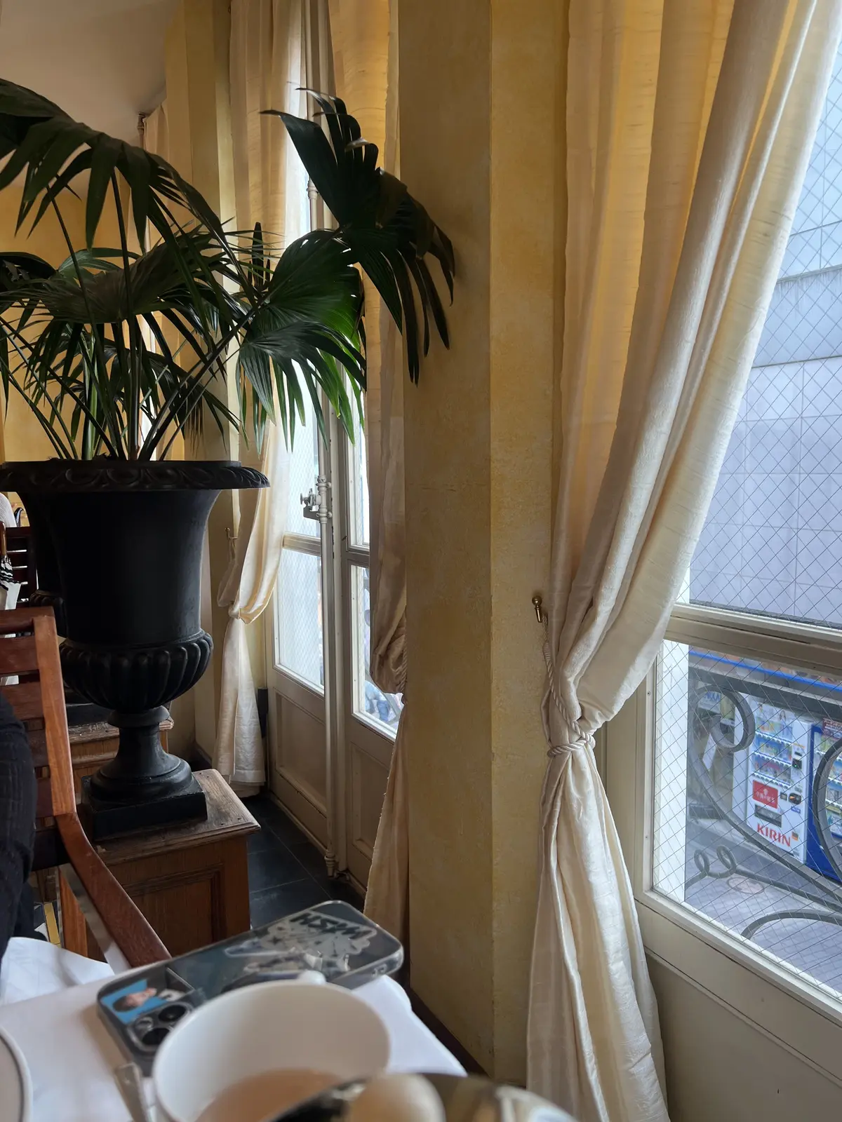 観葉植物も素敵！