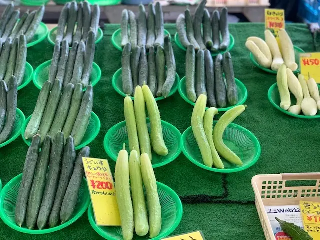 鎌倉　鎌倉廉売