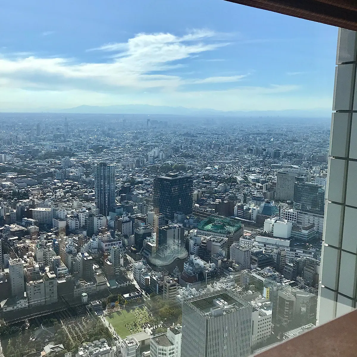 59階からの展望