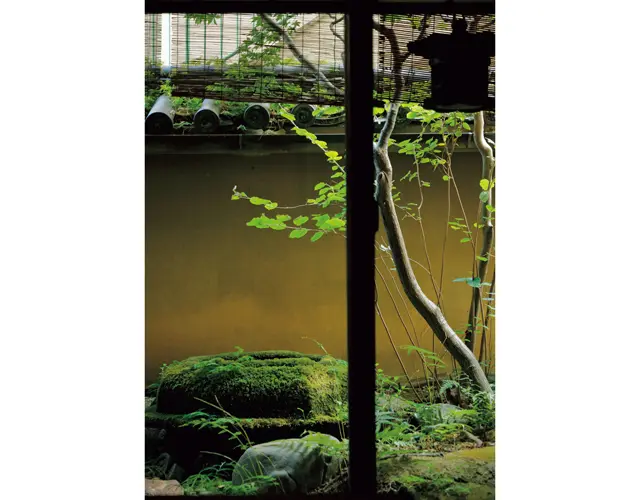 貴重な灯籠や苔むした庭を眺めながら、古九谷や茶道具を見られる2階エリア