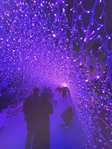 関東三大イルミネーション「湘南の宝石」@の画像_9