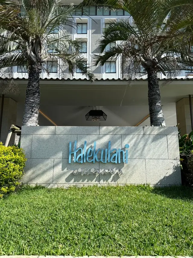 沖縄家族旅行②の画像_2