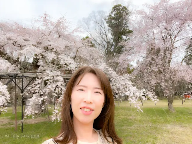 【さかぽんの冒険】前編☆もえぎ色の京都旅の画像_14