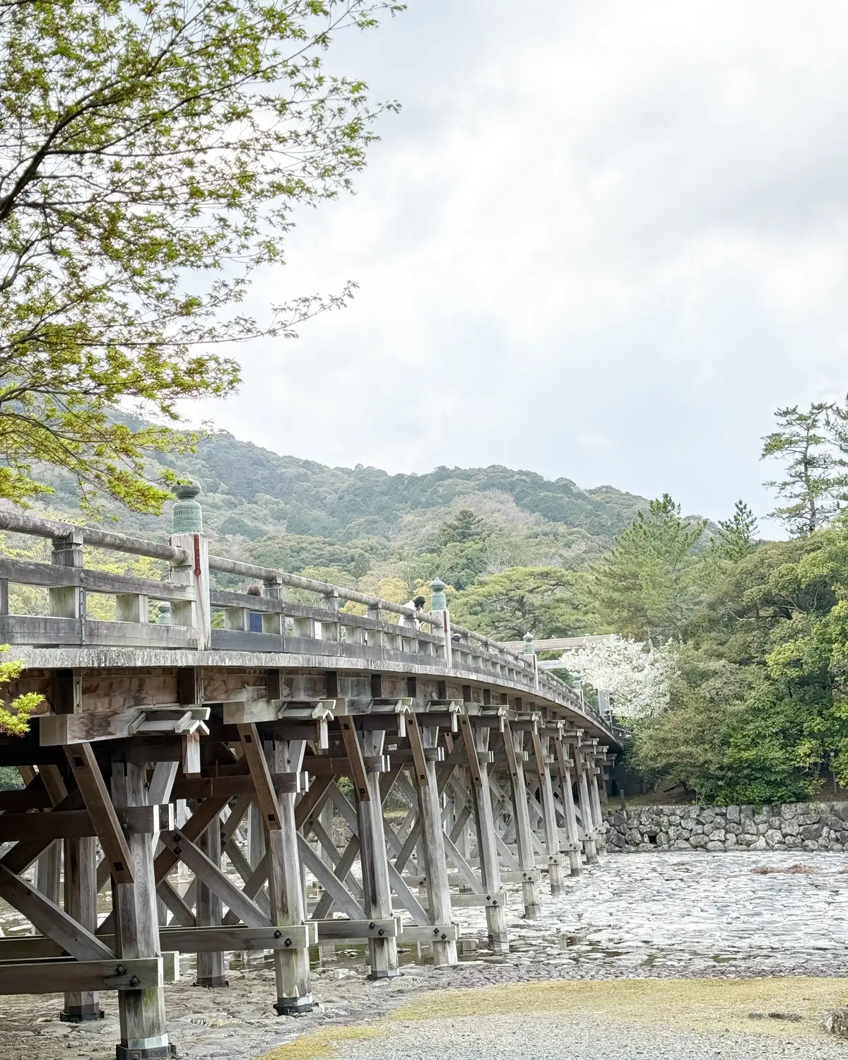 夫婦で巡る伊勢神宮の画像_8