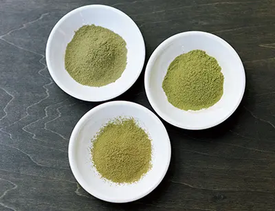 髪も頭皮もノンストレスな白髪ケア「ヘナカの画像_8