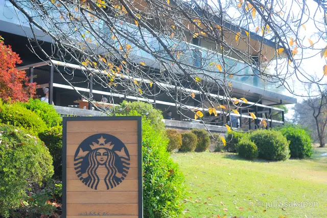 【さかぽんの冒険】プラタナス並木で ほっの画像_19