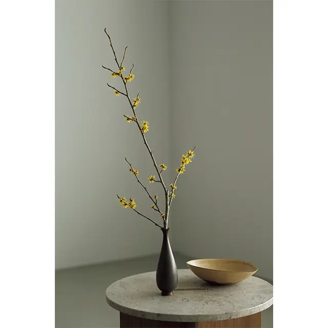 のびやかな枝ものは 一輪挿しで潔く