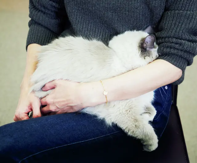 高橋さんの膝の上でじっとしているベル