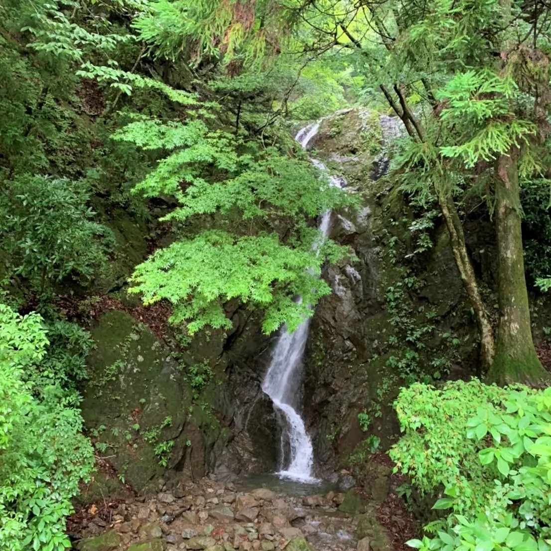 滝の横を通って下山