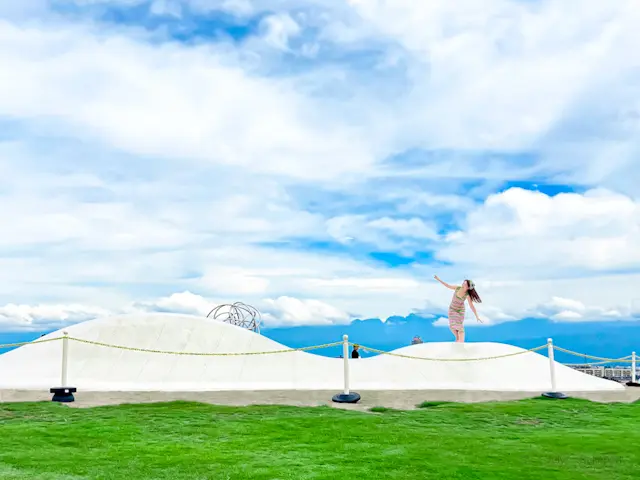 【さかぽんの夏休み】鷹になる瞬間🦅@富山の画像_1