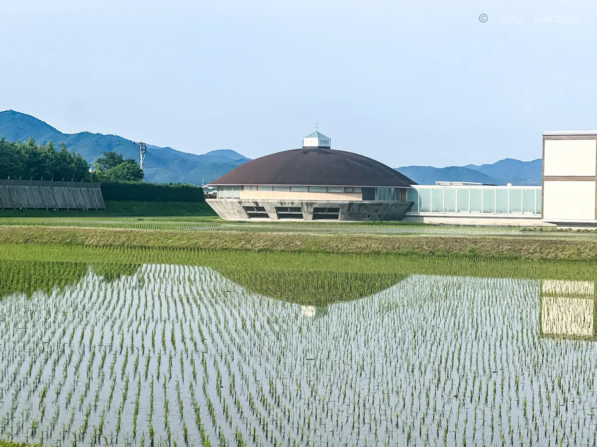 【さかぽんの冒険】ジェット✈️ジェット🛩の画像_6
