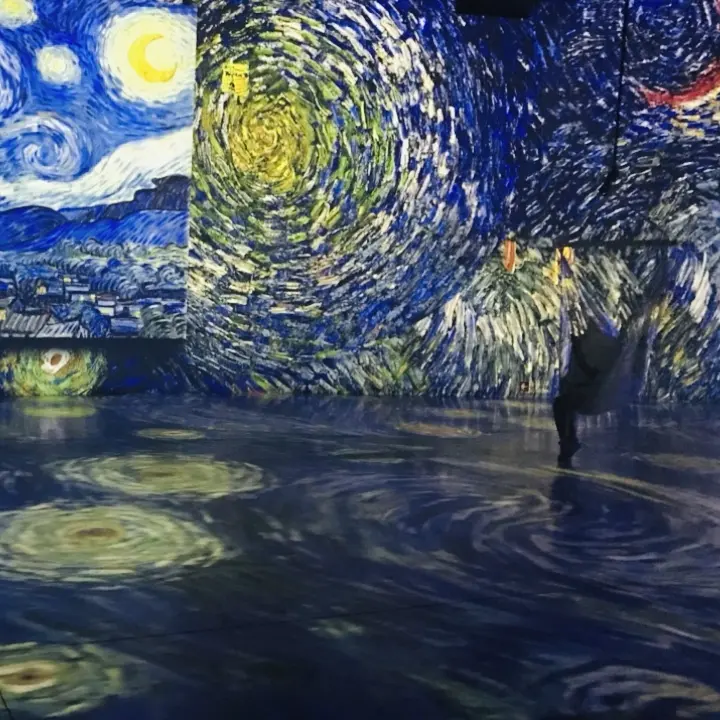 《ファン・ゴッホー僕には世界がこう見えるの画像_6