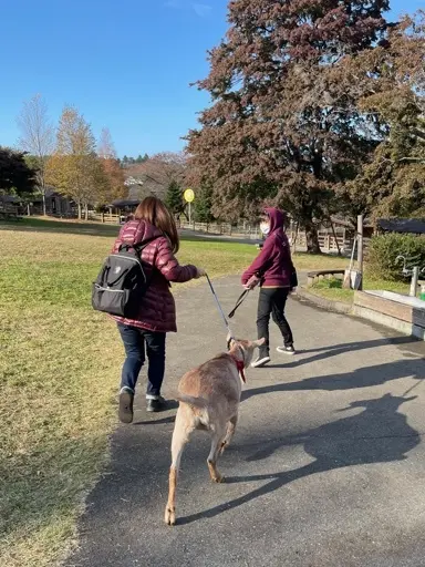 ハロウィンの日は、牧場へ行ってきました☆の画像_6