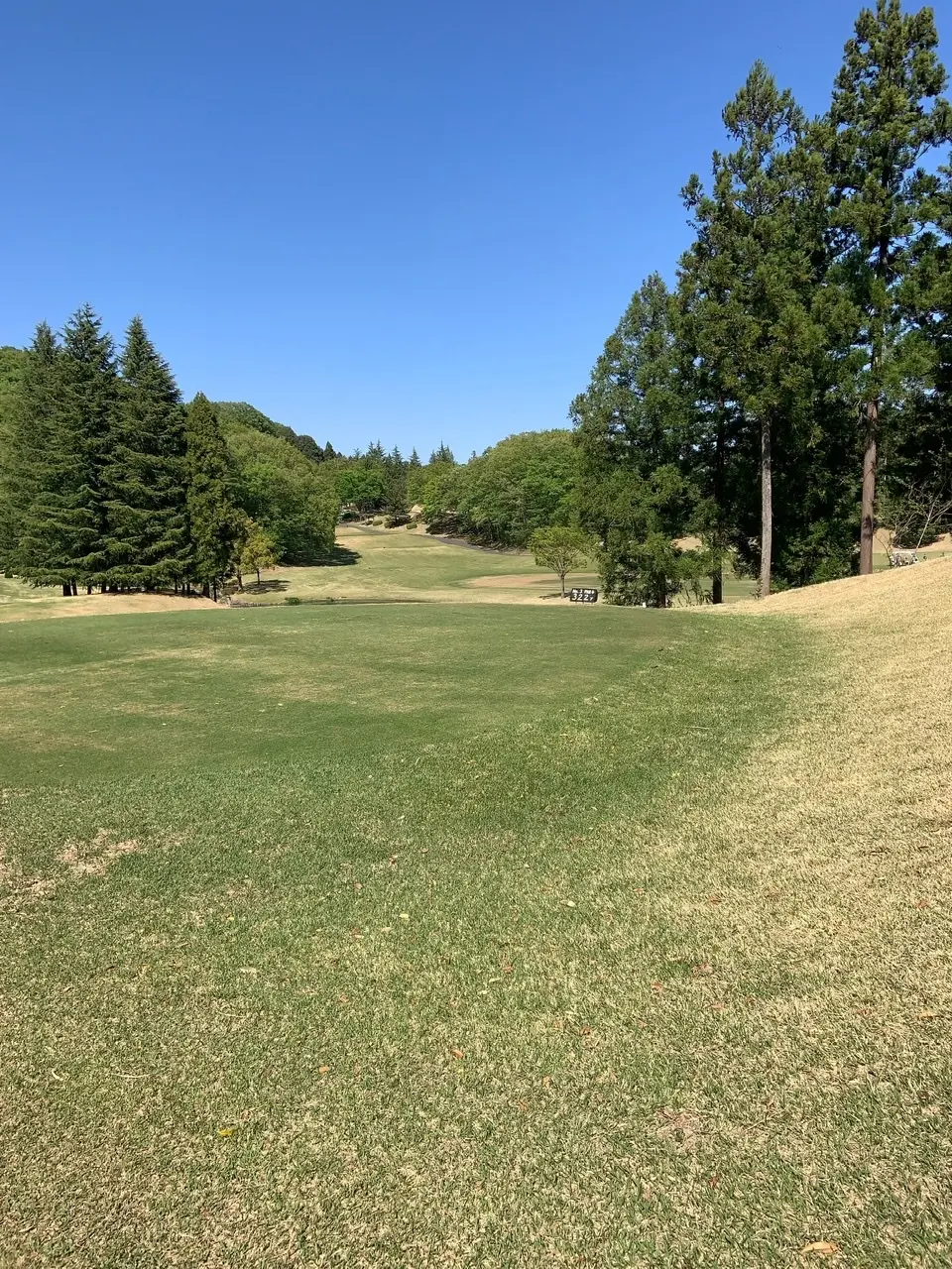 アラフィフゴルフのススメの画像_7