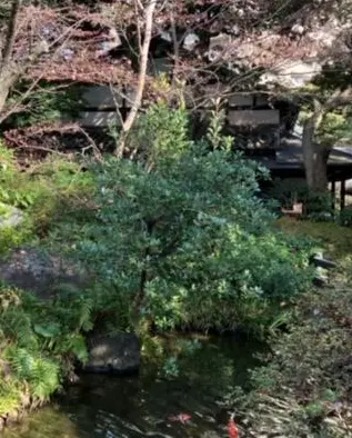 母のお祝いと自分へのご褒美スイーツの画像_2