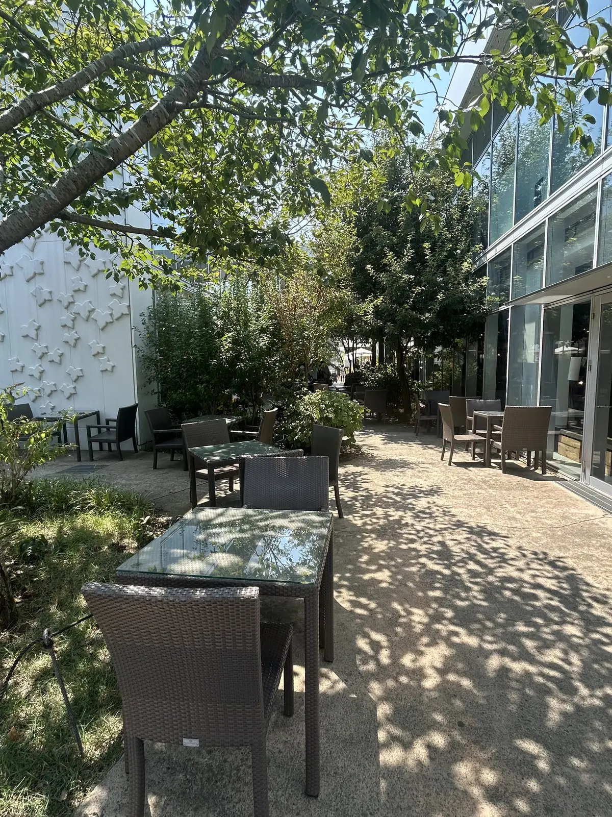 湘南 T-SITE  蔦屋書店