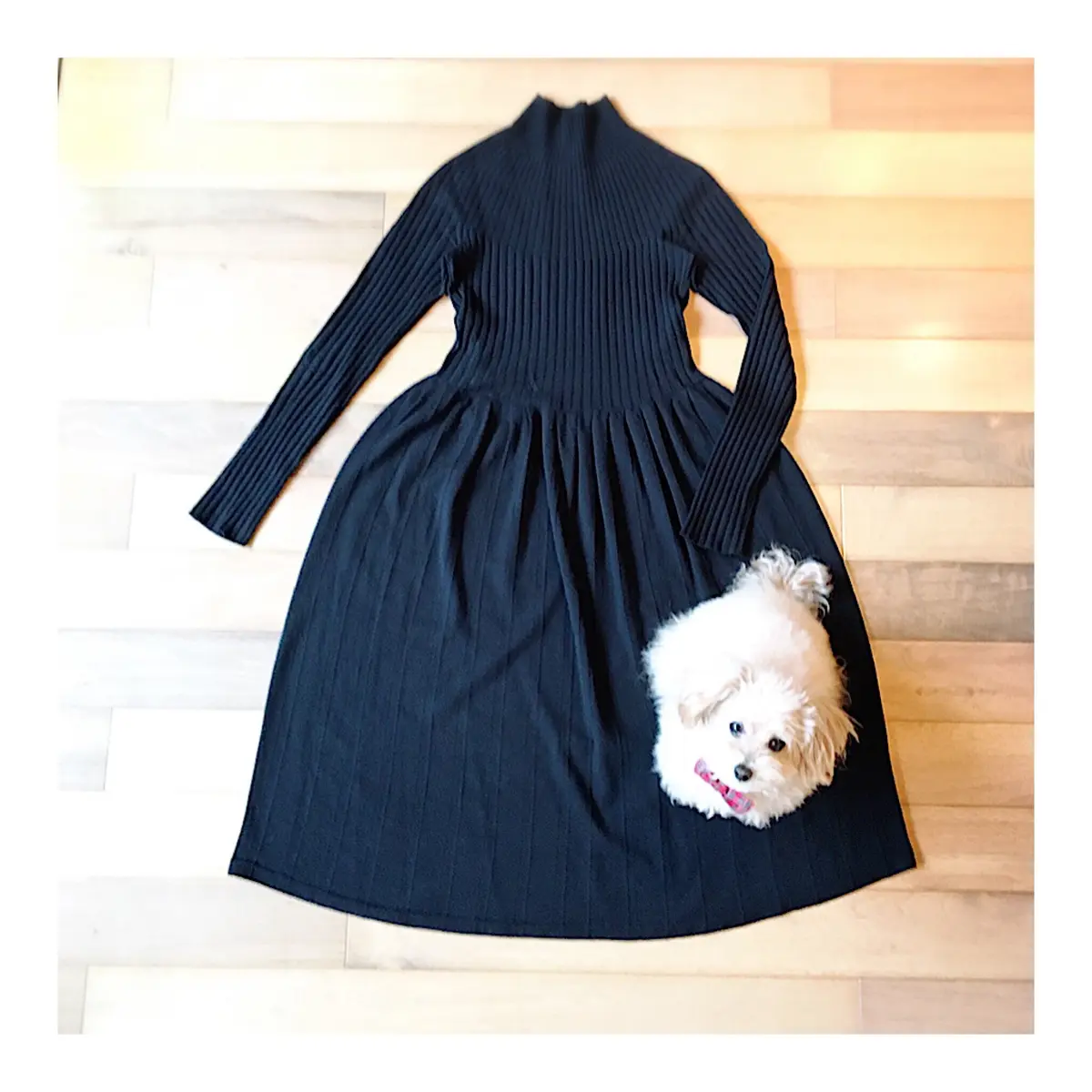 明けましておめでとうとうございます♪の画像_4