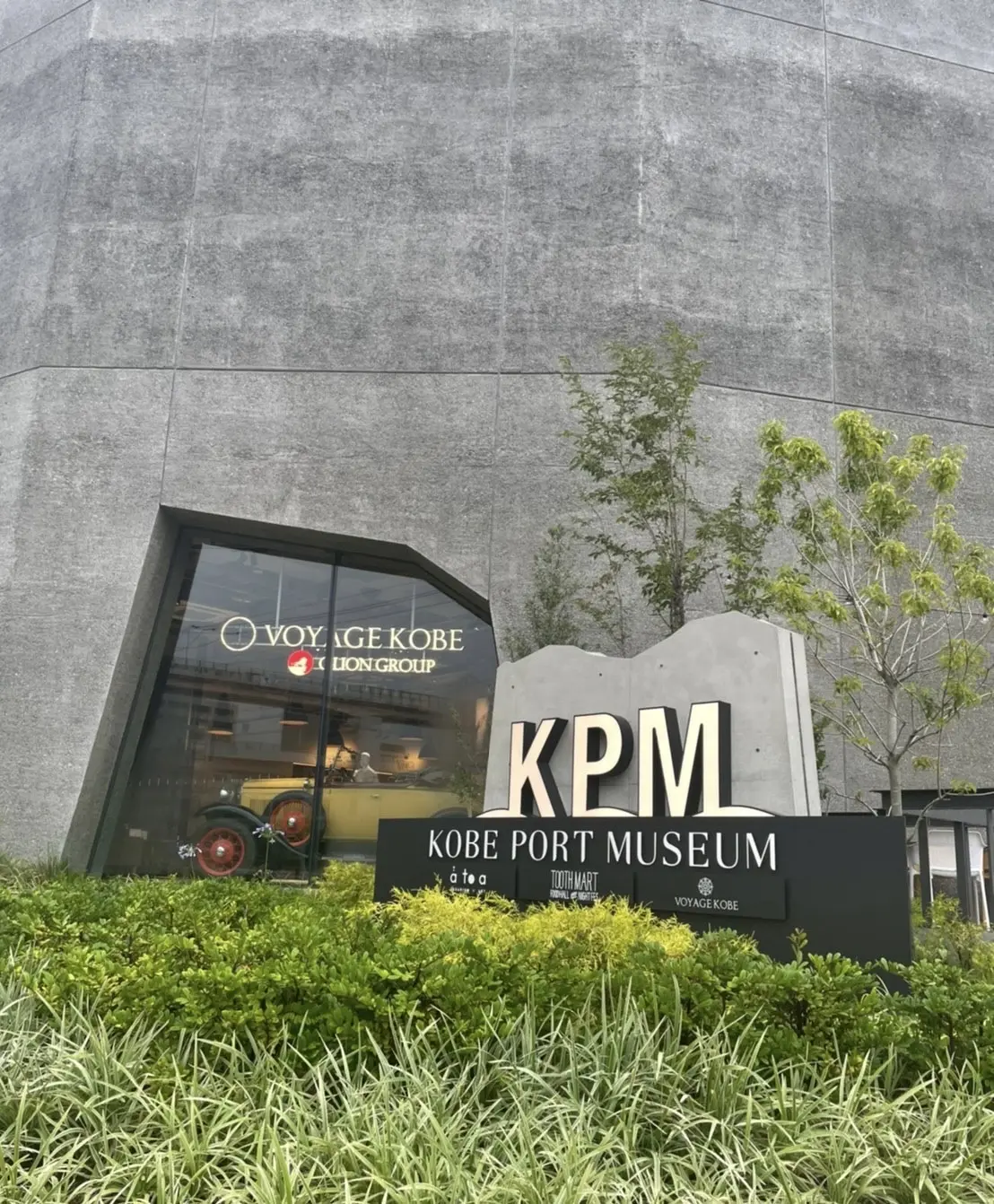 五感で楽しむ、新感覚の水族館【アトア】への画像_1