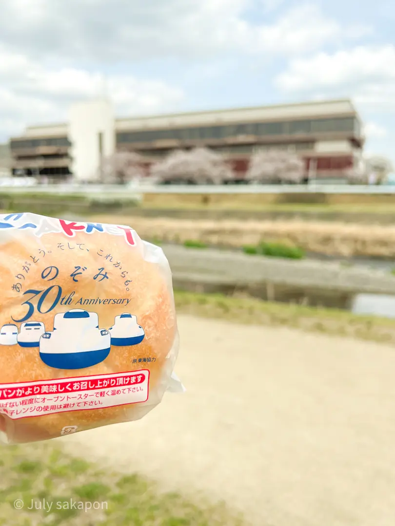 【さかぽんの冒険】前編☆もえぎ色の京都旅の画像_7