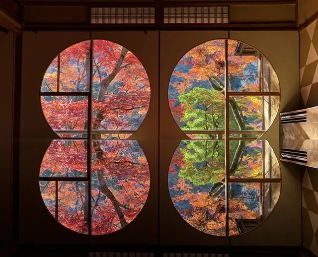 絶対一度は行ってみて欲しい！紅葉の嵐山 の画像_9