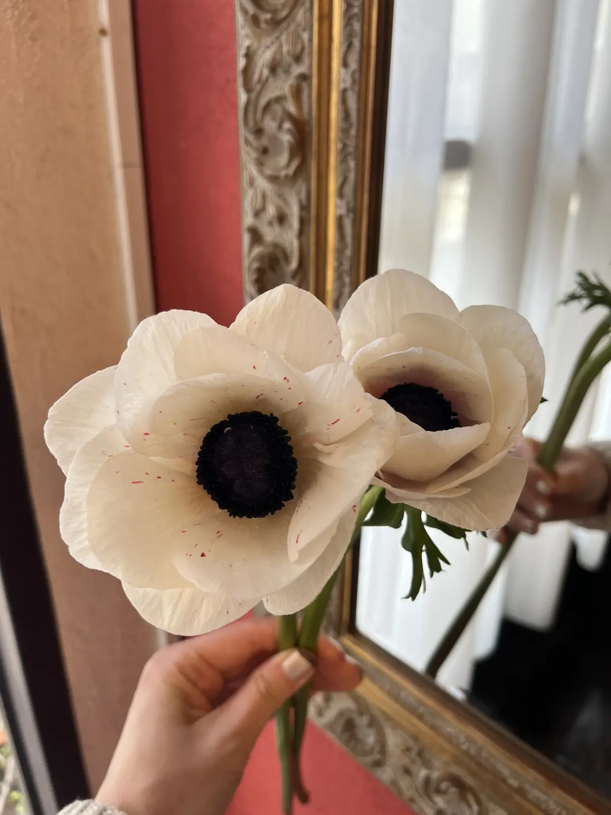 楽しみにしていた桜のブーケを束ねにの画像_5