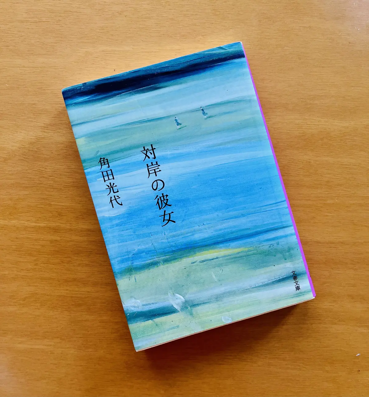 対岸の彼女　角田光代