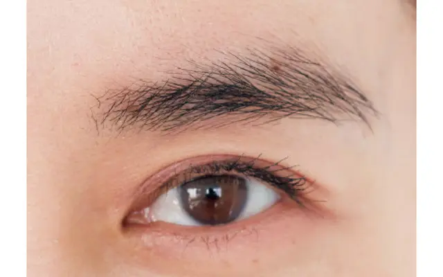 「眉が太くボサボサ…」