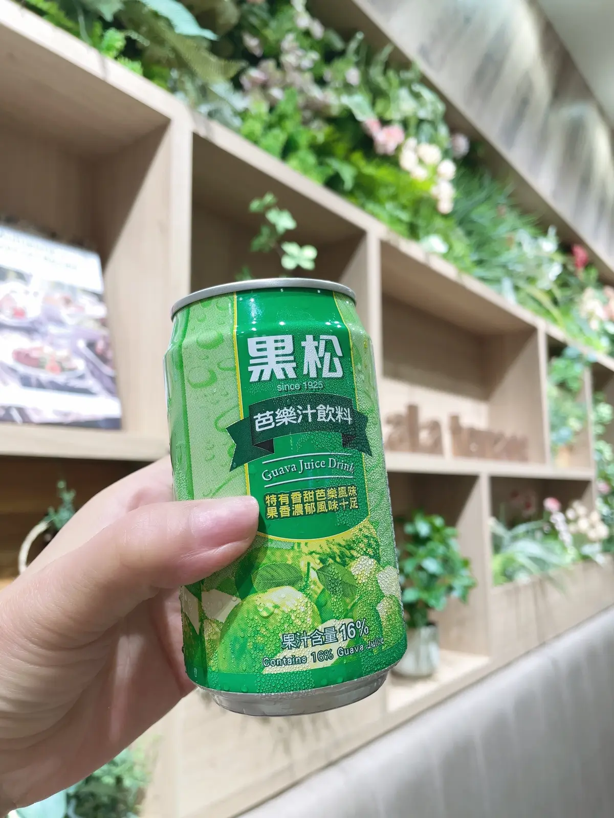 白、ワンピース、白ワンピース、かごバッグ、SHEIN、 Fang  Fa、三井ショッピングパーク、ららテラス北綾瀬、ショッピングモール、商業施設、フードコート、担々麺、海老ラーメン、海老味噌ラーメン、甘エビ味噌ラーメン、ピリ辛ラーメン、牛肉麺、台湾牛肉麺、グァバジュース、台湾牛肉麺、グルメ、台湾グルメ、小籠包、飲茶、台湾飲茶、B級グルメ、本格的、中華、中華街グルメ、北海道グルメ、東京初出店、札幌味噌 Fuji 屋、横浜中華街、 台湾美食店 886食堂、台湾牛肉麺 小籠包セット、グァバジュース、台湾グァバジュース、いちご飴、ぶどう飴、いちご&マスカットの飴、長椅子、長シート、ソファ、