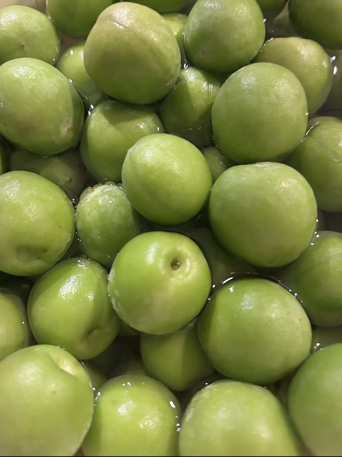 初夏の手仕事、今年も梅シロップを作りましの画像_2